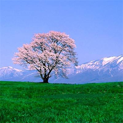 甜妻难追：总裁老公甜蜜爱